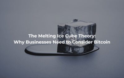 The Melting Ice Cube Theory: Why Businesses Need to Consider Bitcoin
