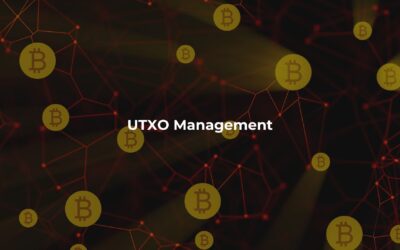 UTXO Management: A Beginner’s Guide